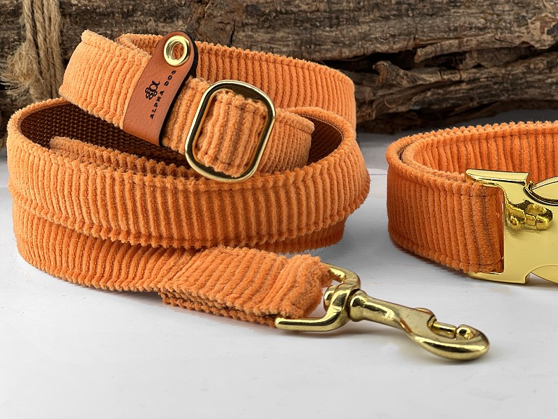 Hundeleine Young Cord orange mit Messing box