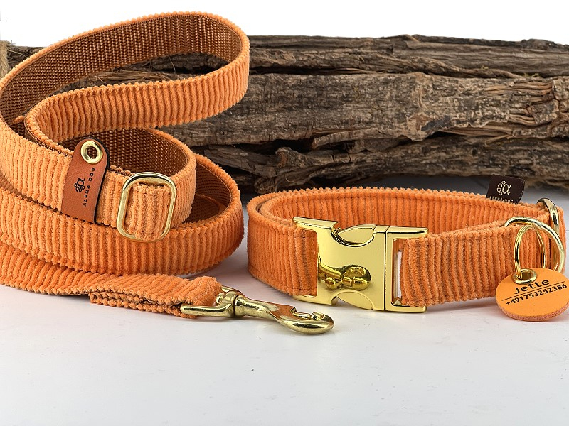 Hundehalsband Young-Cord orange 2,5 cm 4 box