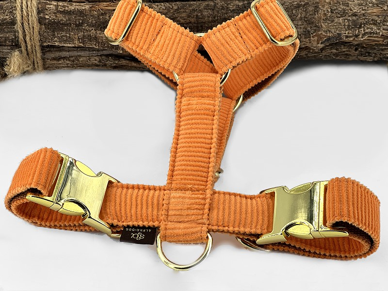 Brustgeschirr Young Cord orange incl. Metallverschluss