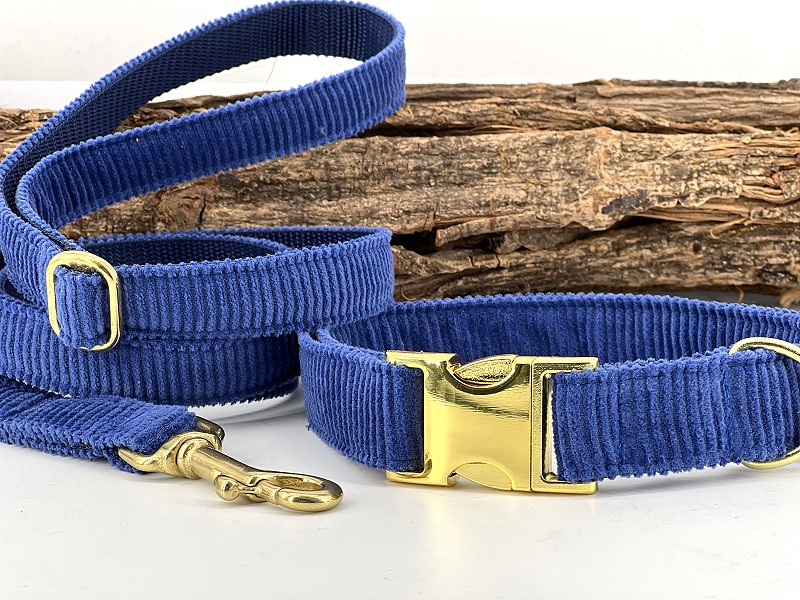 Hundehalsband Young-Cord royalblau m. Messingverschluss