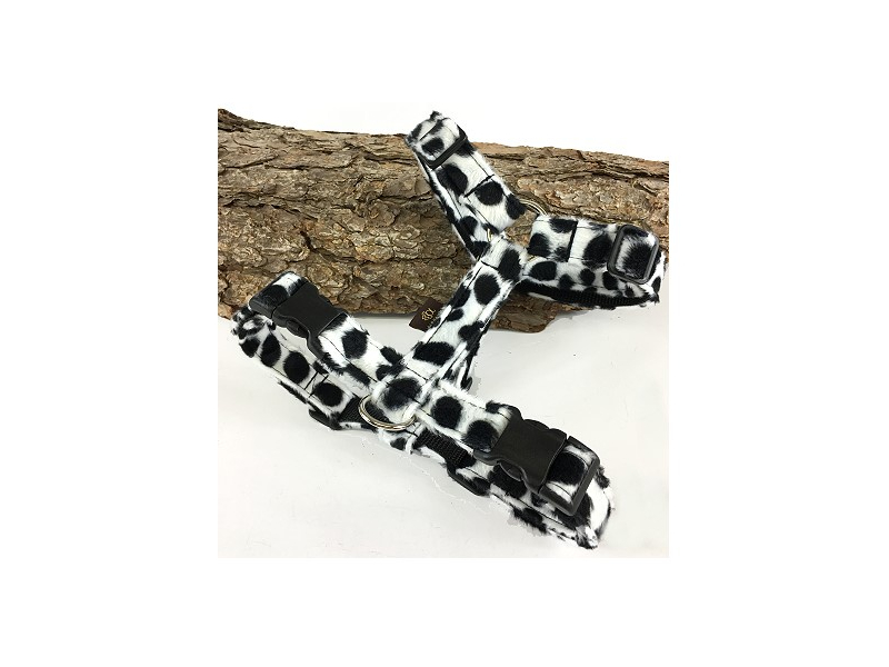 Brustgeschirr Dalmatiner 3 cm 60-70 cm A box