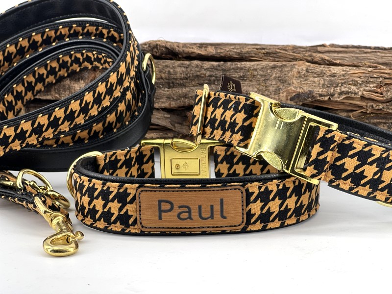 Hundehalsband Citylights gepolstert mi N box