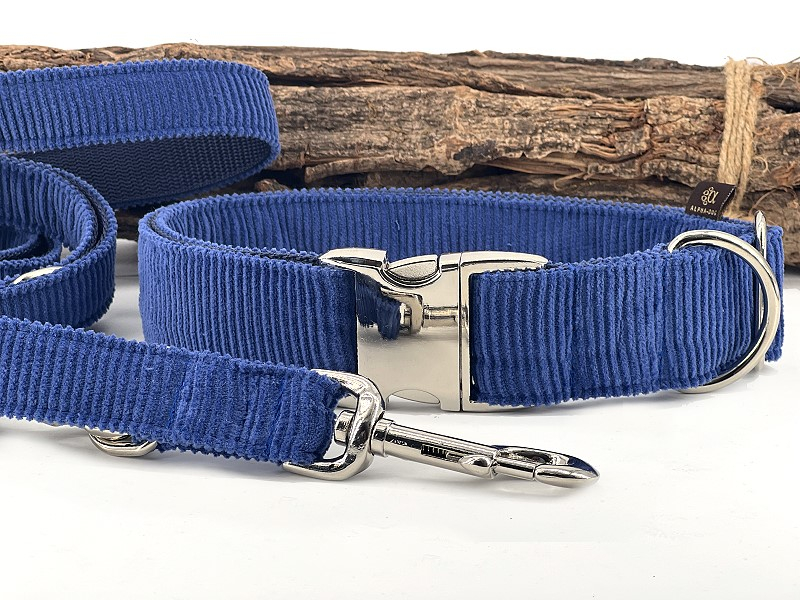 Hundehalsband Young-Cord royalblau 4 cm  box