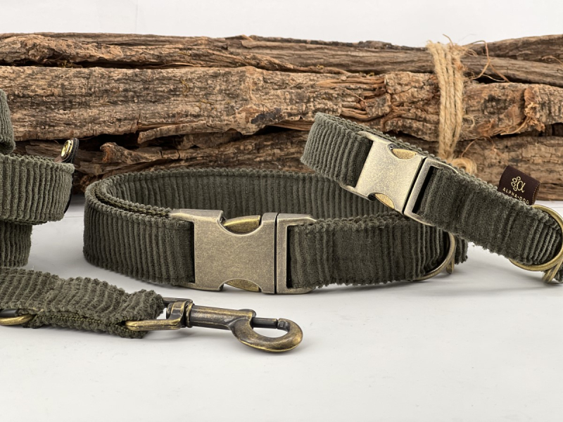 Hundehalsband Young-Cord oliv mit Antik- box