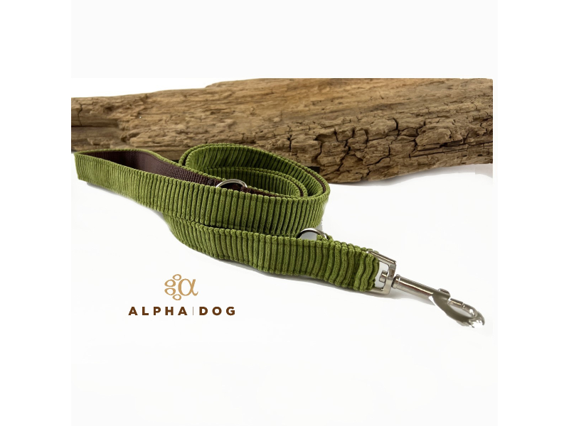 Hundeleine Cord crocodile Comfort 200 cm box