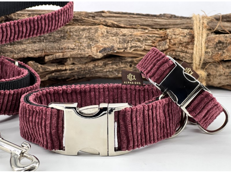Hundehalsband Cord Wild Berry 4 cm 40-55 box