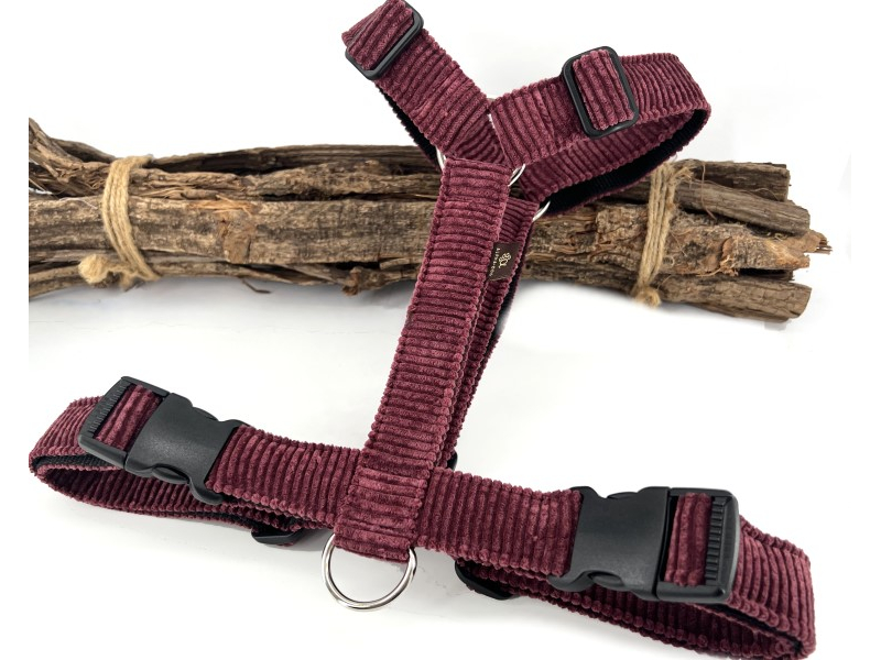 Brustgeschirr Wild Berry box