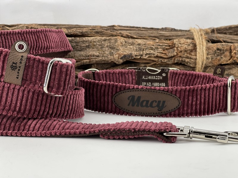 Hundehalsband Wildberry mit Namenspatch  box