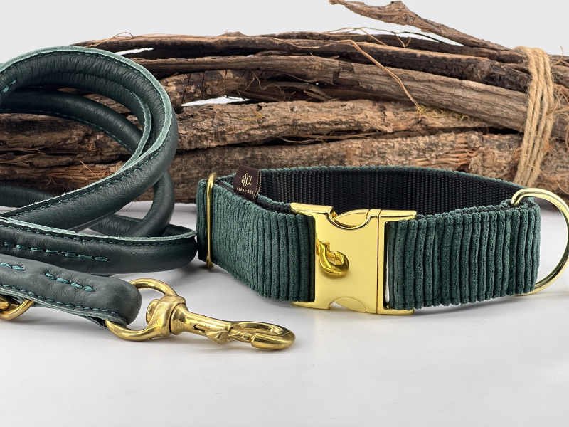 Hundehalsband Cord Petrol mit Messingver box