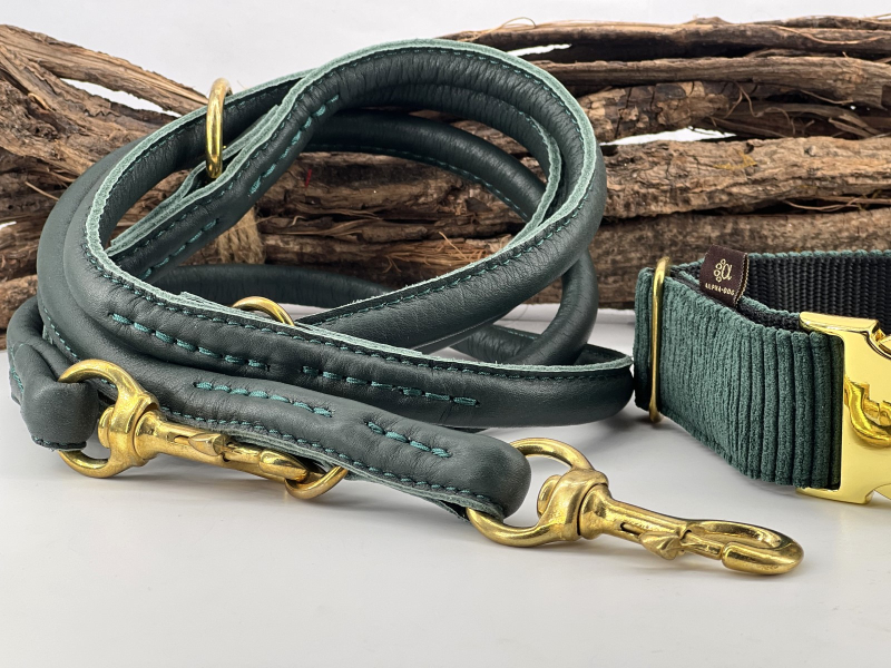 Comfort-Lederleine 2 mtr. verstellbar petrol mit Messingbesc