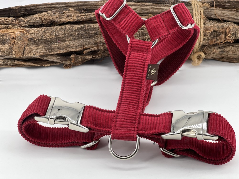 Brustgeschirr "Young Cord" rubin