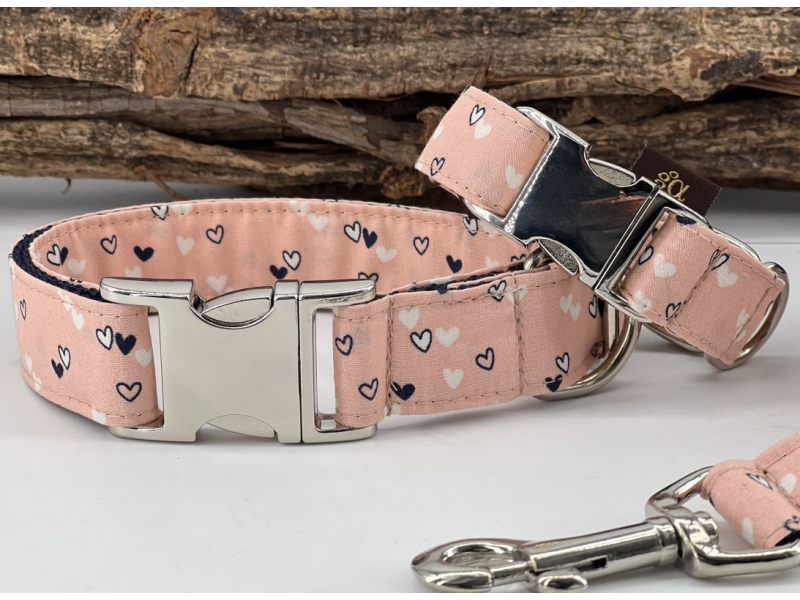 Hundehalsband Hearts 4 cm 50-78 cm Alumi box