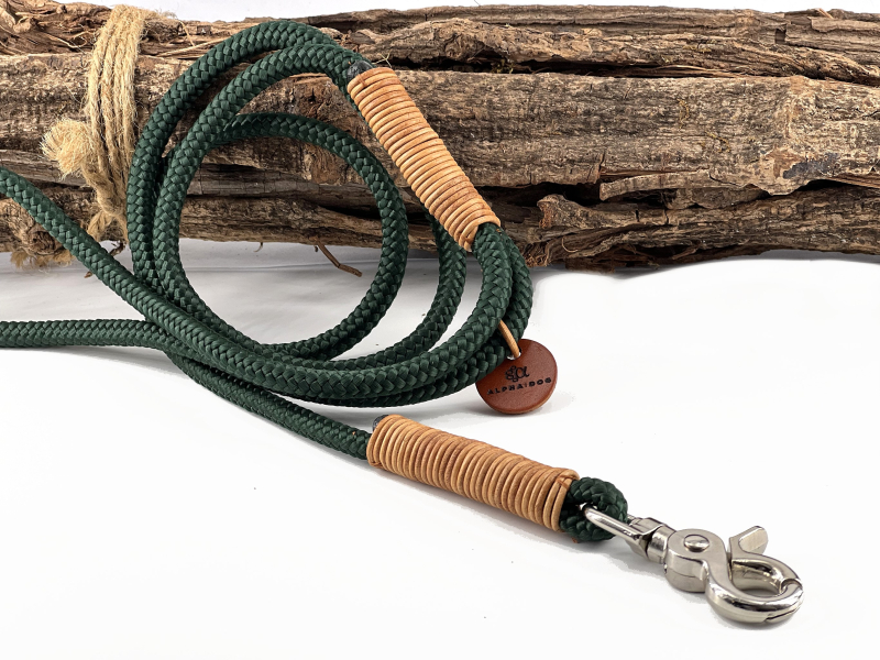 Tauleine dunkelgrün- Lederwicklung cognacbraun