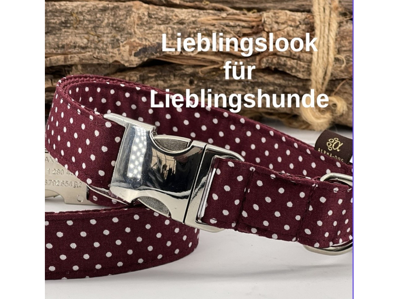 Hundehalsband Lots of dots bordeaux box