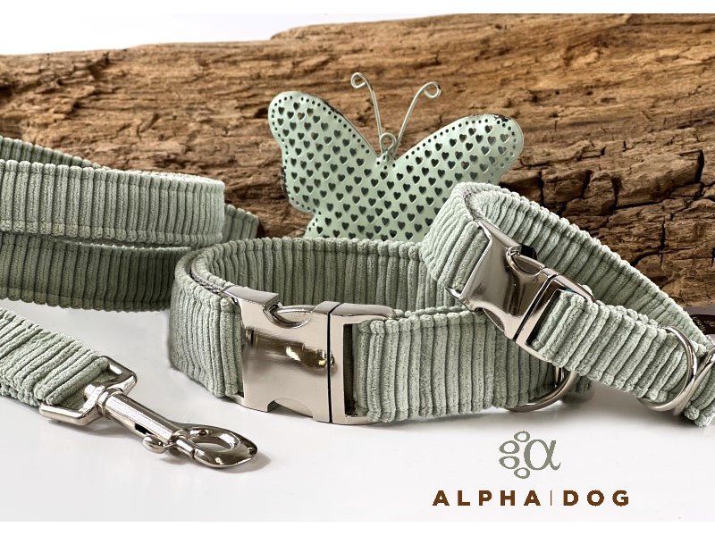 Cordhalsband Beachhouse 2 cm 20-28 cm Al box