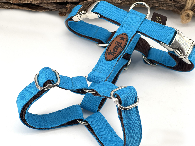 Hundegeschirr Canvas türkis optiona box