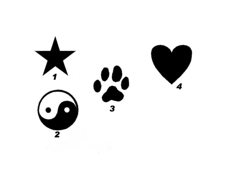 rohfaser im hundefutter Schmackhaftes Hundefutter mit Knguru, Rebhuhn & Birne