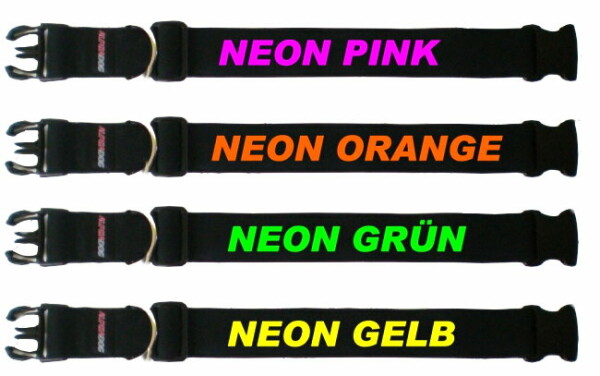 Hundehalsband mit Namen in Neonfarben