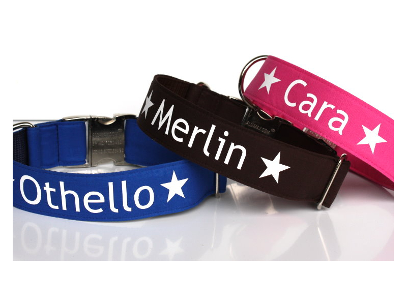 Halsband mit Namen und Symbolen box