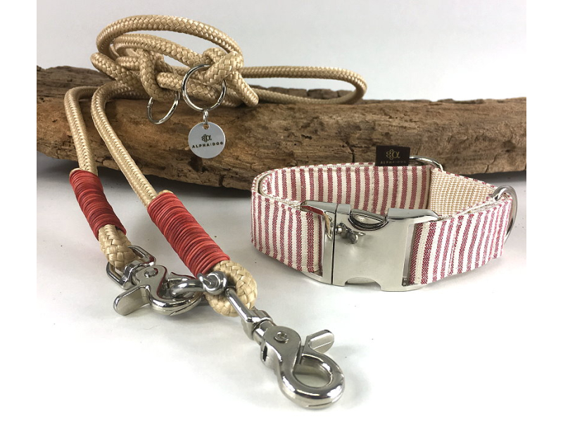 Hundehalsband Gangway rot 2,5 cm 28-39 c box