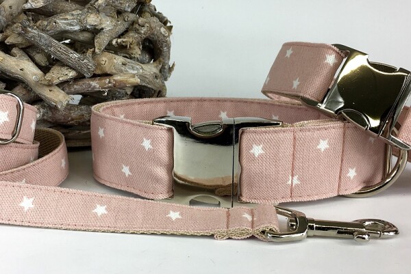 Hundehalsband Allstars Nude 33-45 cm 2,5 cm Aluminium +...