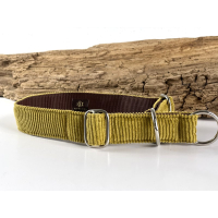 tumeric ( curryfarben )