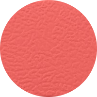 Koralle